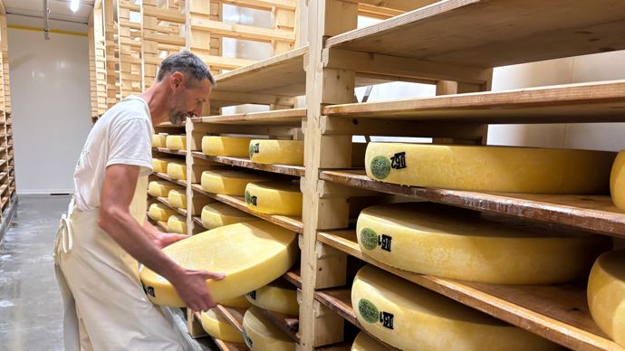 C’est en frottant les meules de comté que « des idées farfelues » arrivent à Sylvain Javaux, qui en est déjà à sa cinquième pièce de théâtre. Près de 3,5 Ml de lait à l’année sont transformés ici, uniquement en comté, avant d’être envoyé chez l’affineur.
